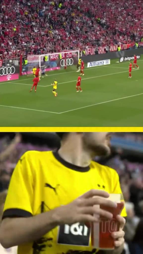 勇者無(wú)懼！這是真多特球迷！在拜仁球迷區(qū)一個(gè)人肆意慶祝！